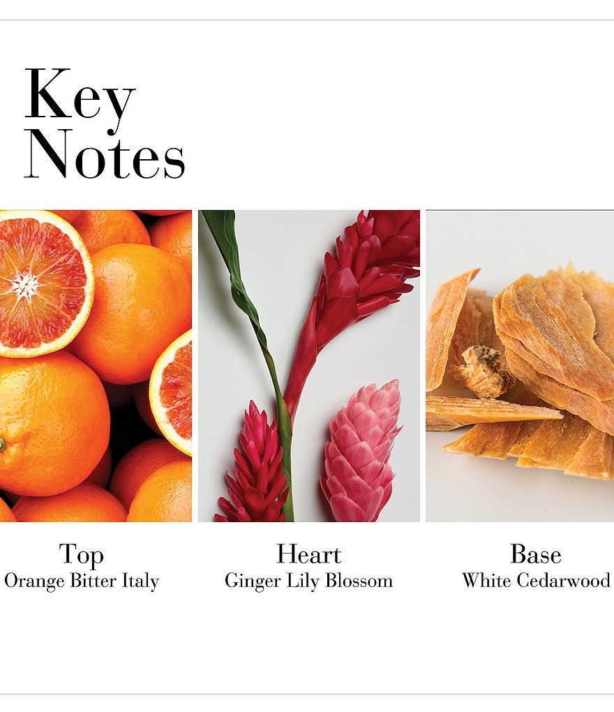 CHANEL ALLURE BODY LOTION