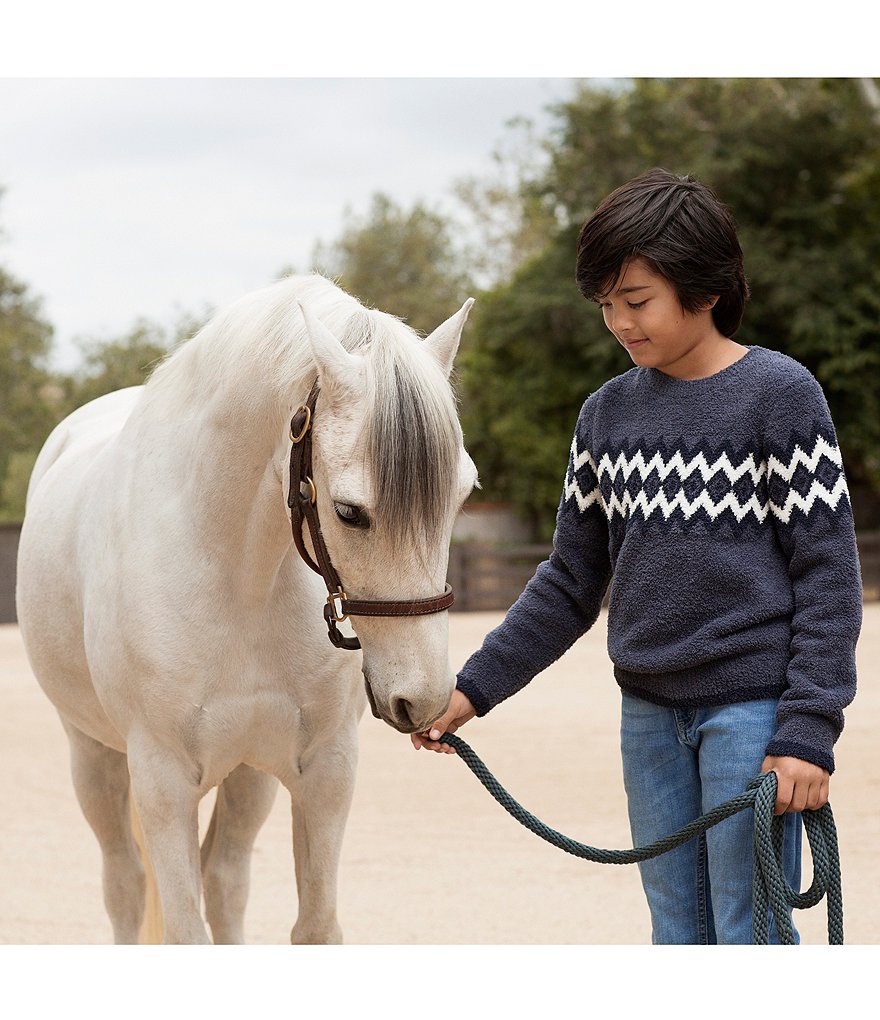 Barefoot Dreams Boys 6-14 Nordic Pullover Sweater