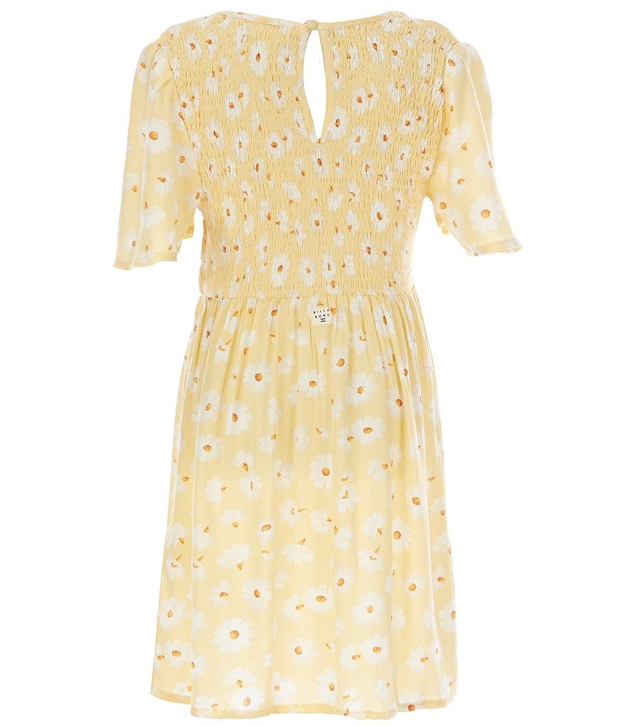 Peek Little/Big Girls 2T-12 Embroidered Chambray A-Line Dress