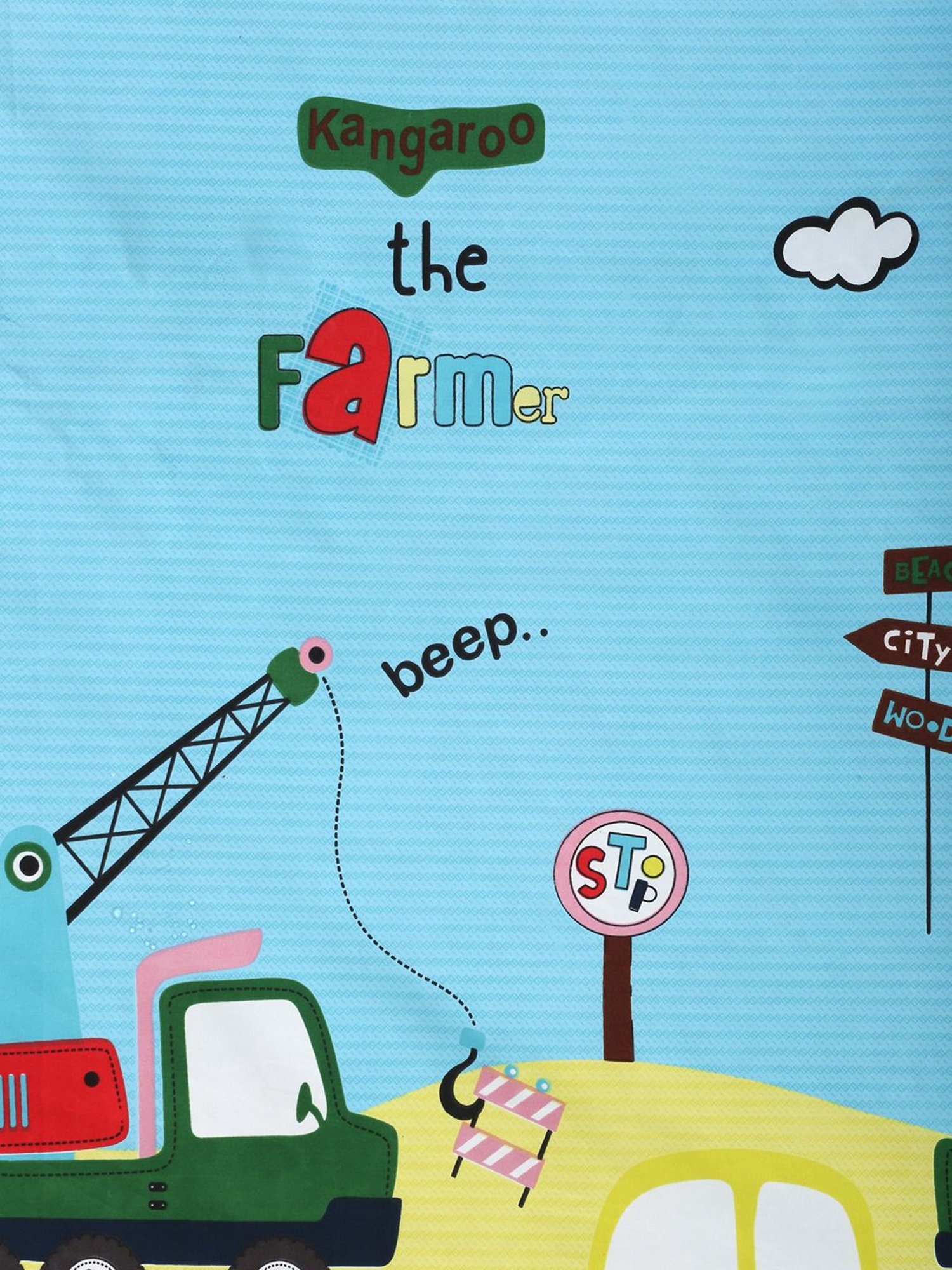 HOSTA HOMES Multicolor Glace Cotton 220 TC Bed Sheet with 2 Pillow Cover