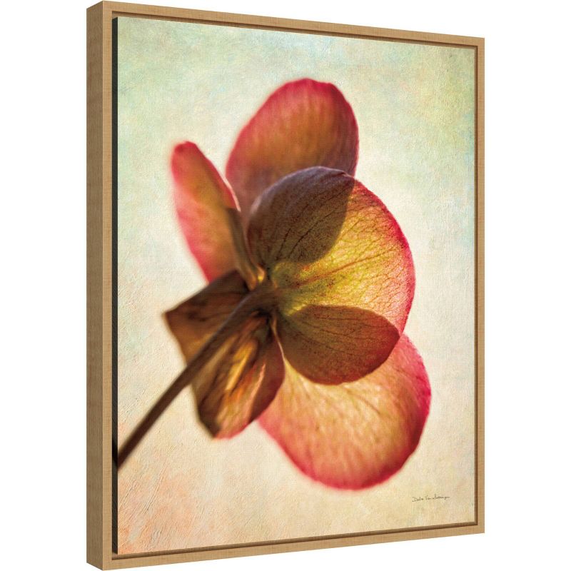 16" x 20" Lenton Rose I by Debra Van Swearingen Framed Wall Canvas - Amanti Art
