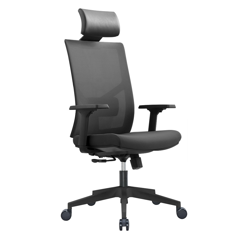 Ergonomic Multi Function Mesh Office Chair with Lumbar Support, Adjustable Armrest (With Headrest, Black)