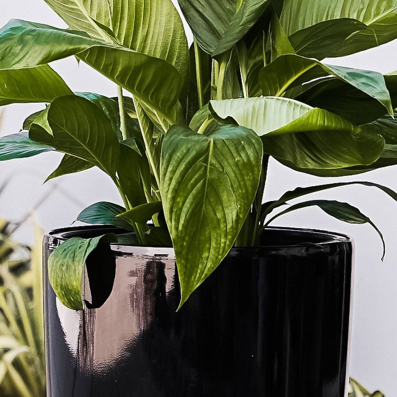 2pc 17" Indoor/Outdoor Round Plastic Self Watering Planter Black - XBrand