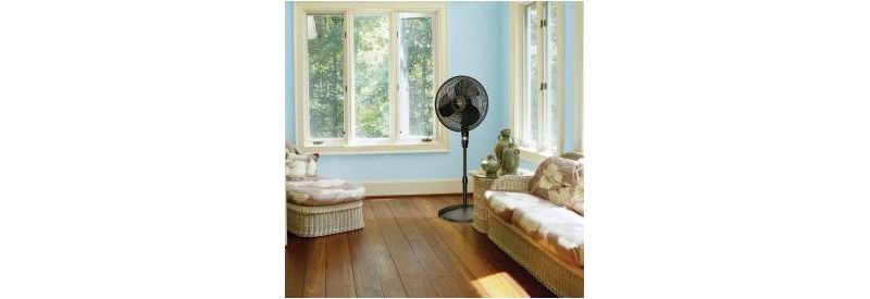 Lasko 16" Pedestal Fan - Black