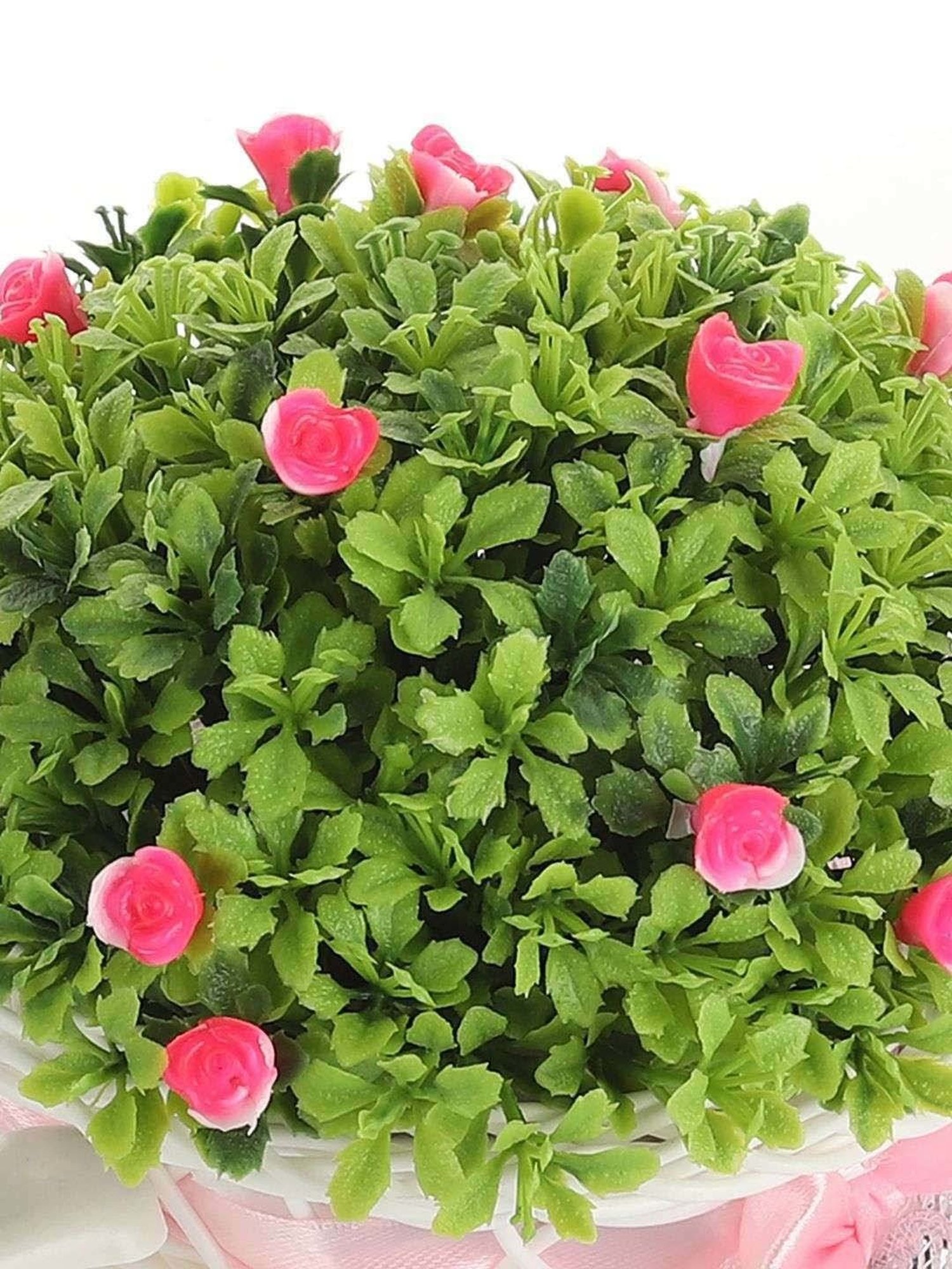 Foliyaj Multicolor Plastic Rickshaw Plant With Small Flowers