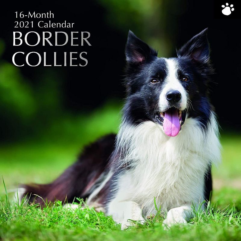 2021 The Everygirl Wall Calendar 15" x 12" Liam - Blue Sky