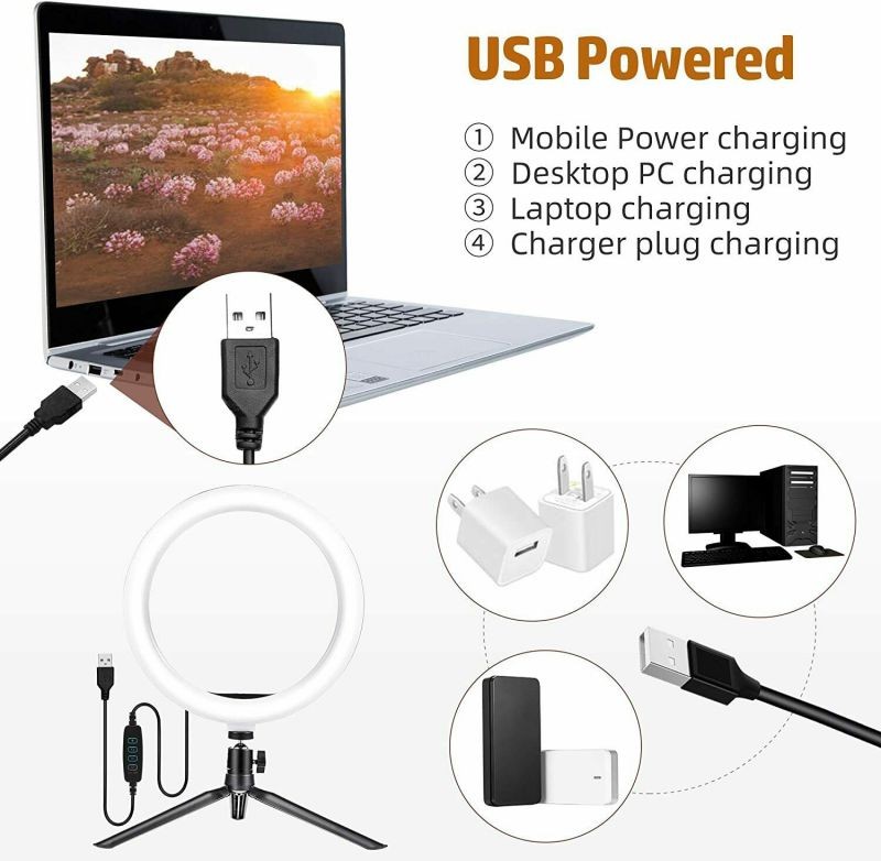 U58 Type-C to Type-C Magnetic Data Cable 100W PD Fast Charging Connection Cable 480Mbps Connector US-SJ466-Cable + Magnetic suction head