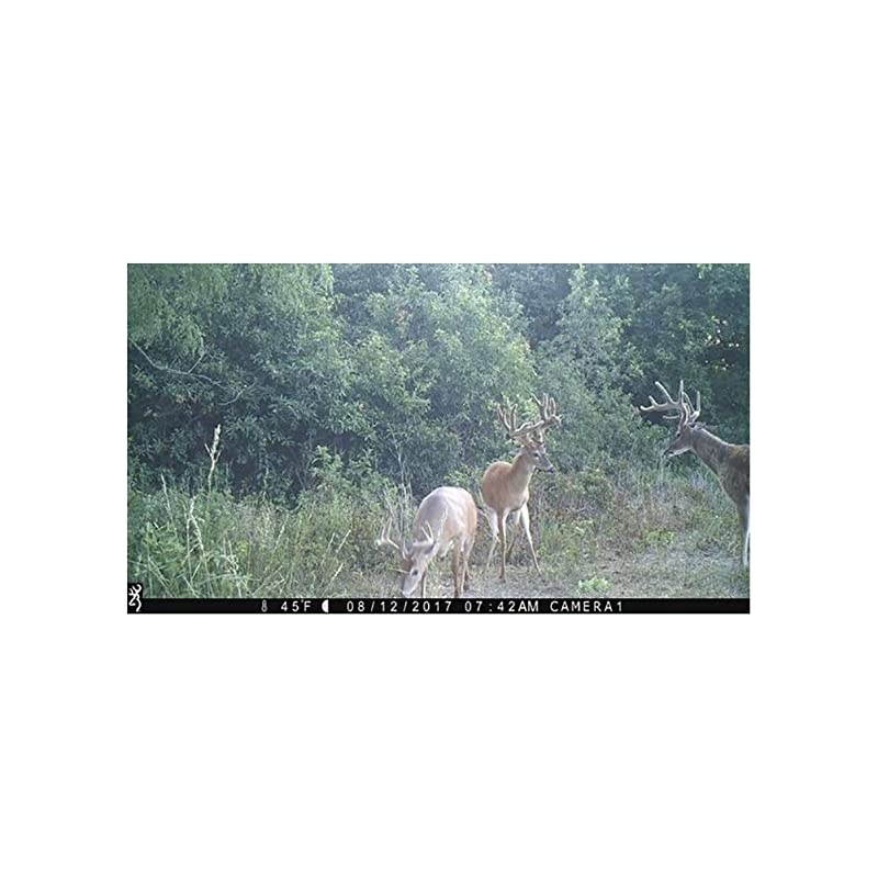 Strike Force Extreme