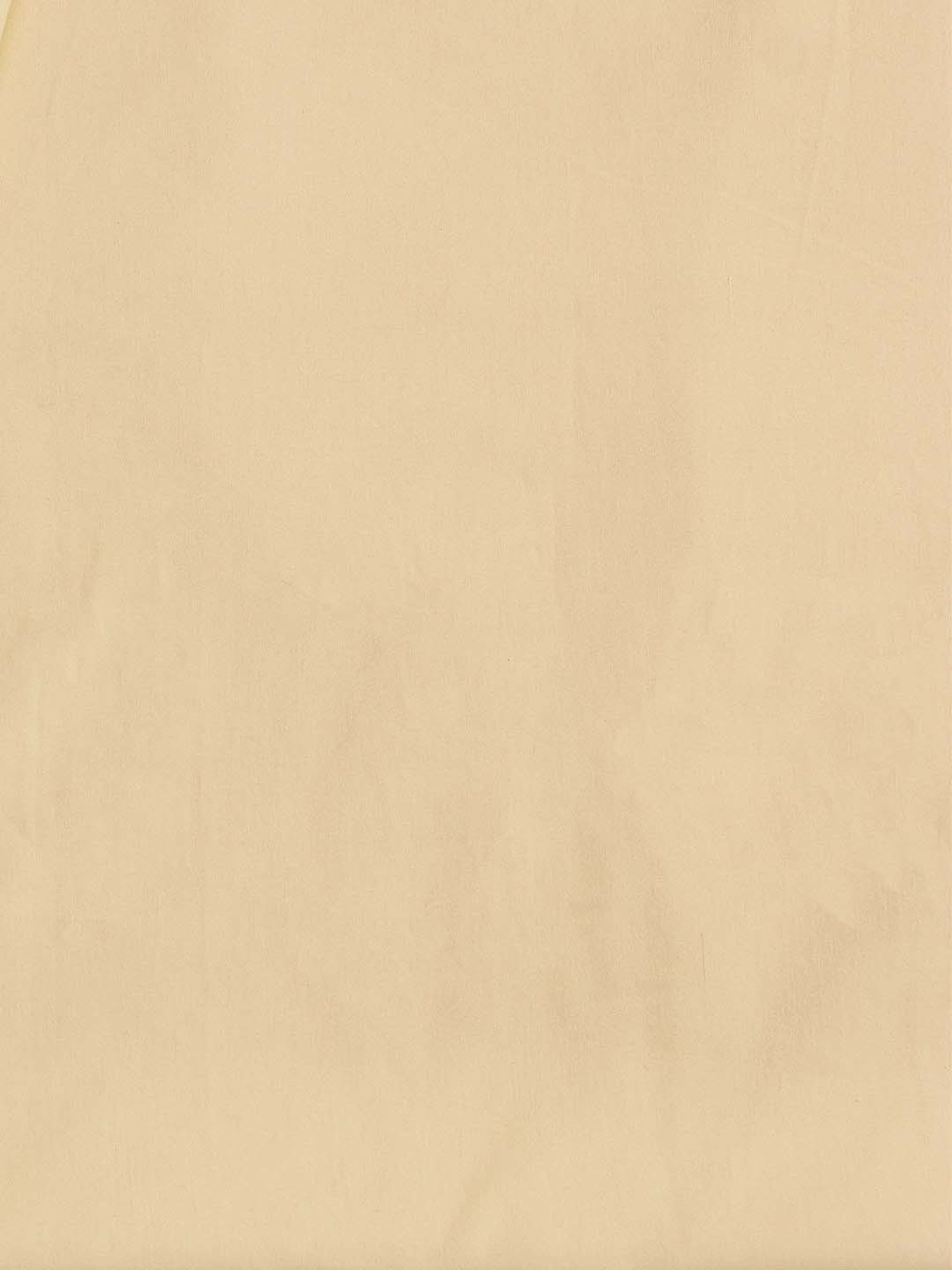 House This Ginger Beige Cotton 600 TC Double Duvet Cover