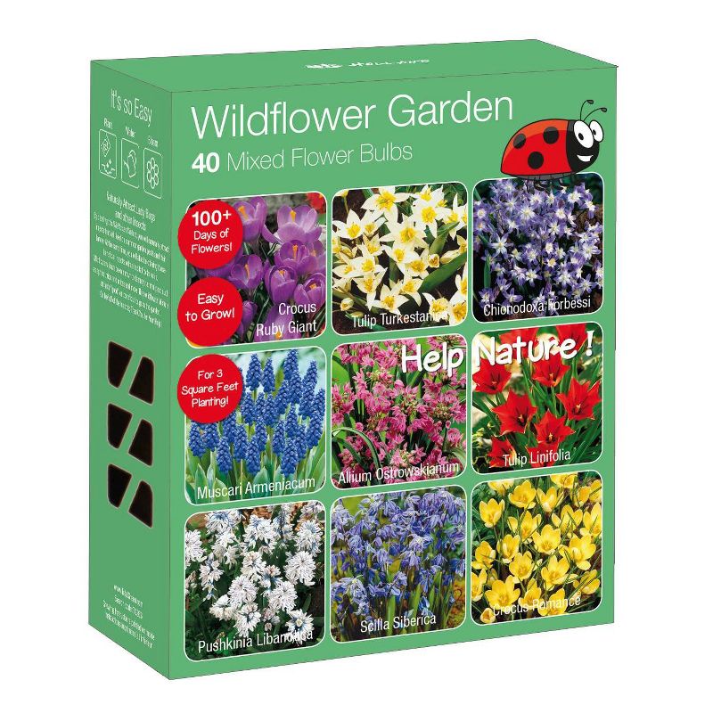 40pk Wild Flower Garden Nature Friendly Collection Assorted Perennials Bulbs - National Plant Network