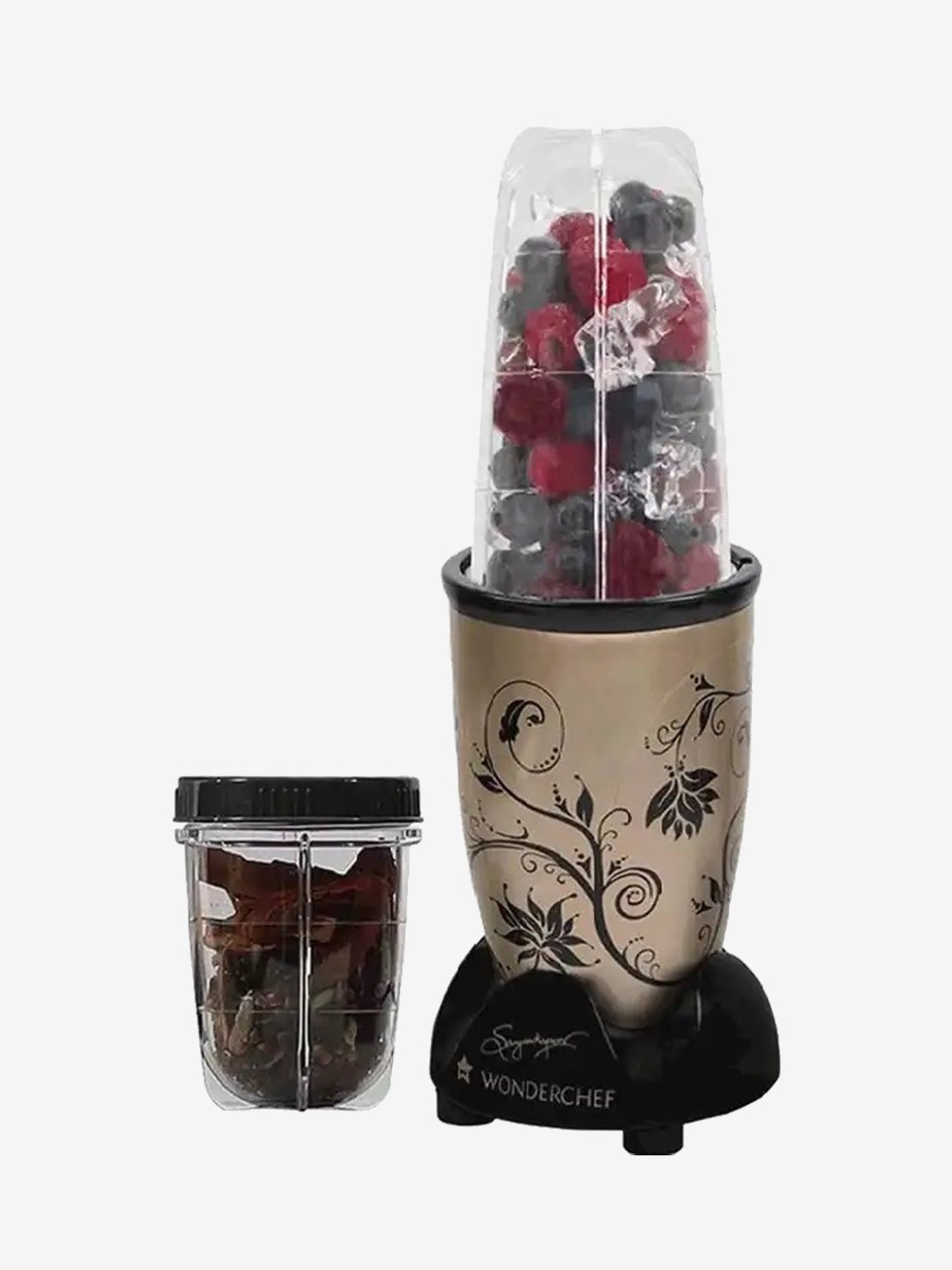 Wonderchef Nutri-Blend 2 Jars 400W Blender Juicer (Champagne)