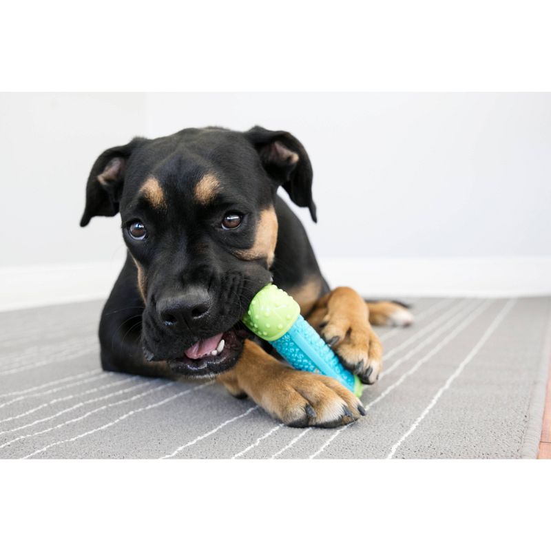 KONG Corestrength Bone Dog Toy - Green/Blue - S/M