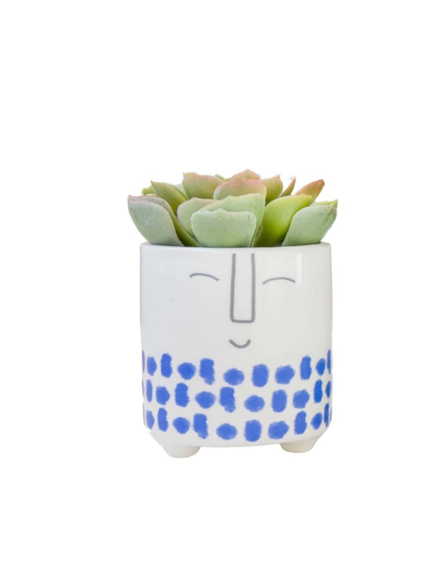 KitchenCraft White & Blue Ceramic Mini Planter Pot With Happy Face Design