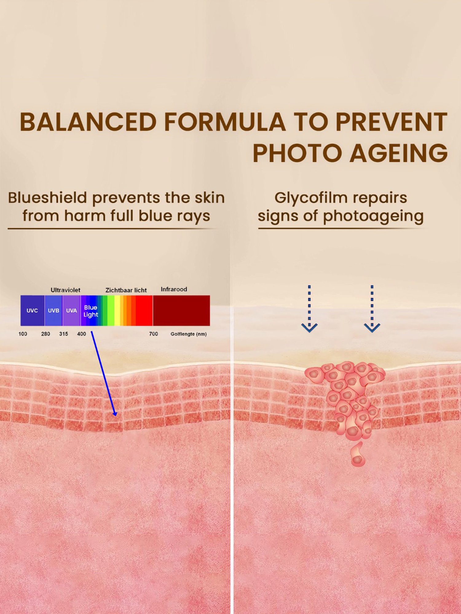 The Love Co. 100% Pure & Natural Rose Water - 100 ml