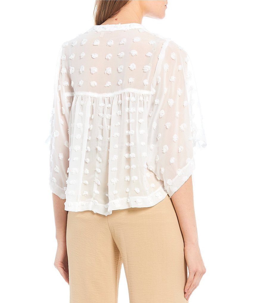 Evolutionary Short-Sleeve Large Clip-Dot Blouse Babydoll Top