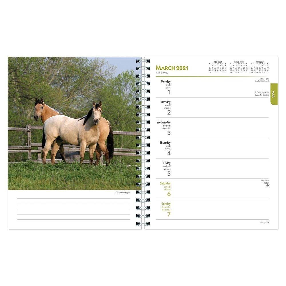 BrownTrout,  Horses Planner 2021