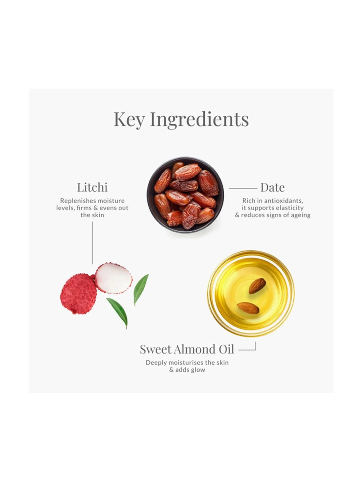 Forest Essentials Anti Ageing Moisturiser Night Cream Eternal Youth Date & Litchi - 15 gm