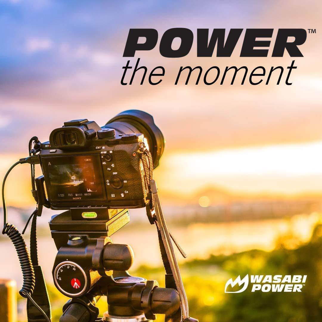 Wasabi Power Battery (2-Pack) and Dual Charger for Sony NP-FW50