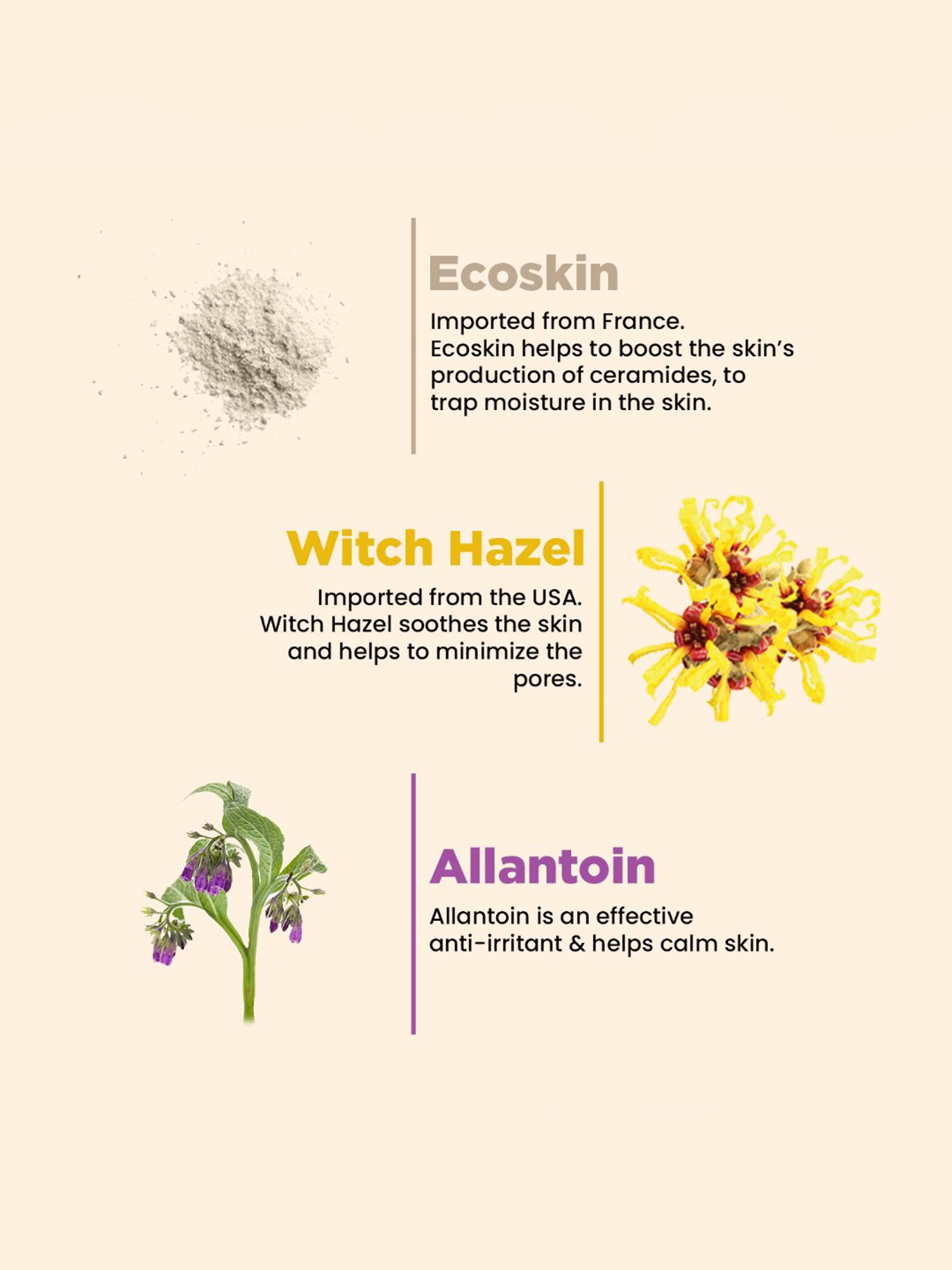 The Skin Story Advanced Deep Cleansing & Balances Foaming Face Wash - 100 ml