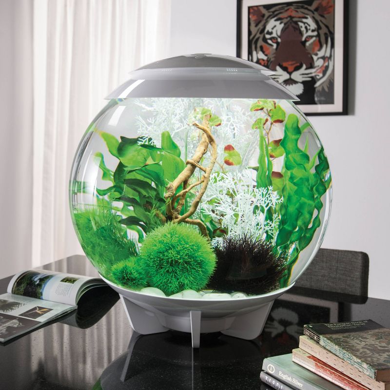 biOrb Moorwood Ornament Aquarium Artificial Plants - Brown - M