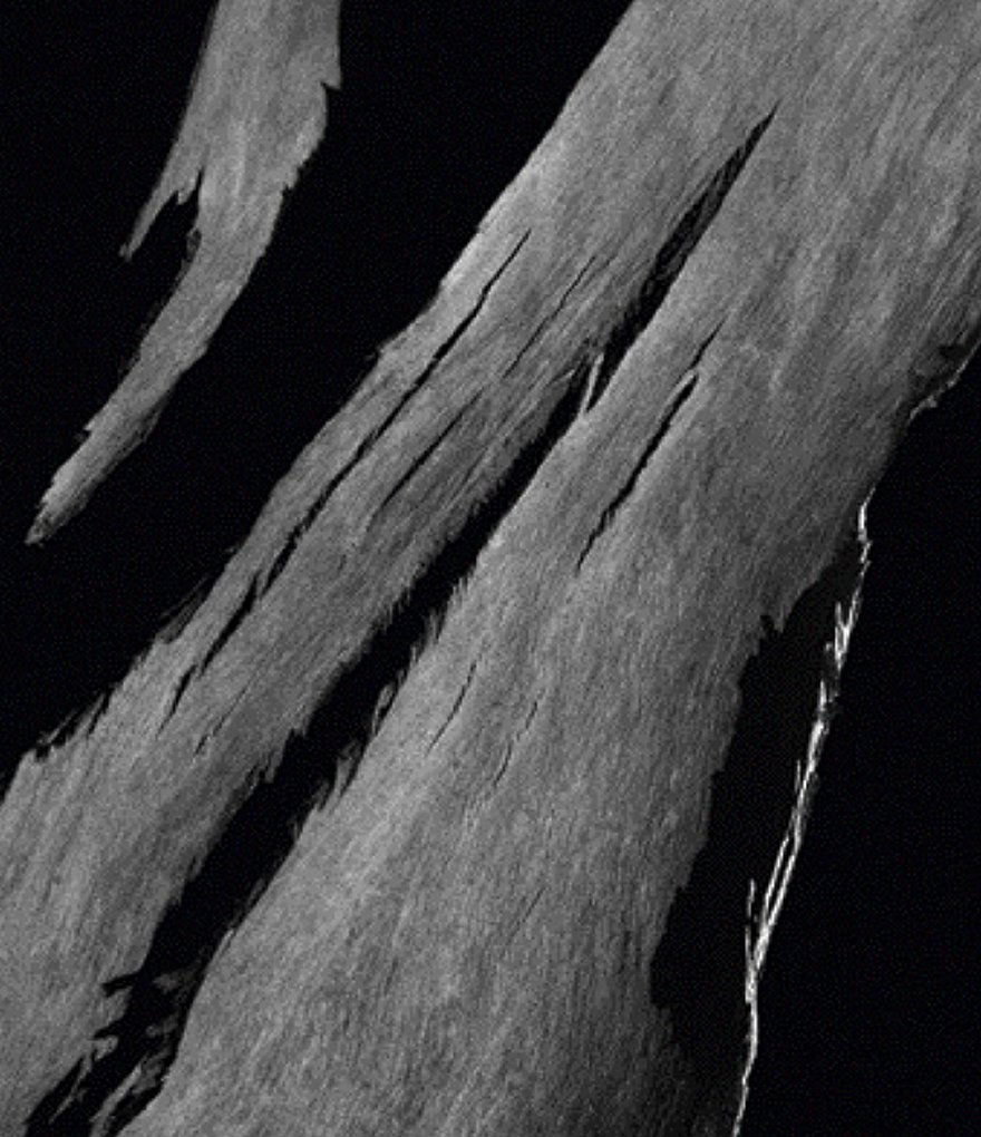 Carolina Herrera CH Red Eau de Toilette Spray