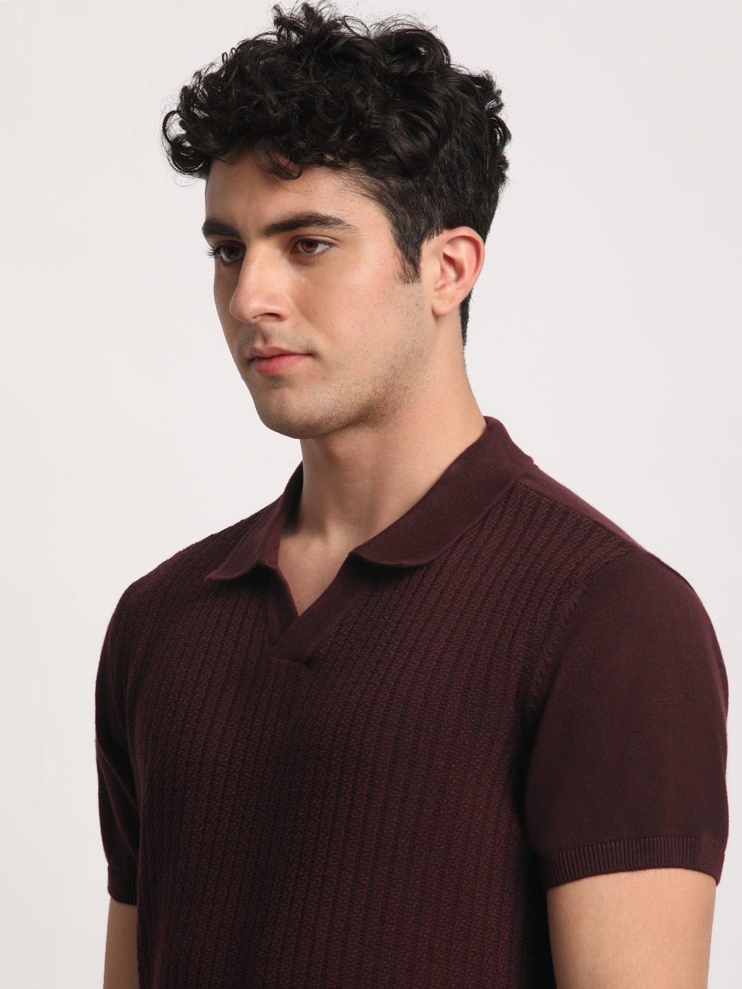 The Bear House Maroon Cotton Regular Fit Self Pattern Polo T-Shirt