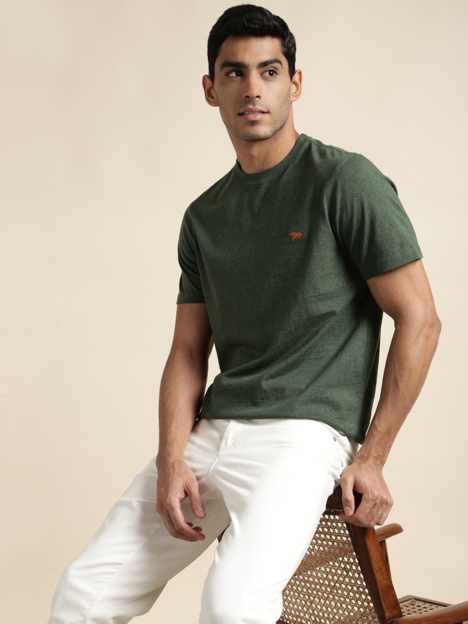 Andamen Olive Regular Fit T-Shirt