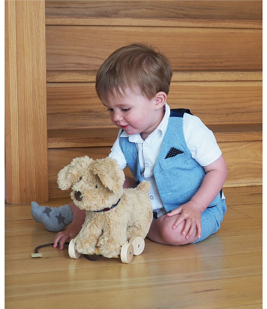 Little Bird Told Me Dexter Dog Pull-Along Dog