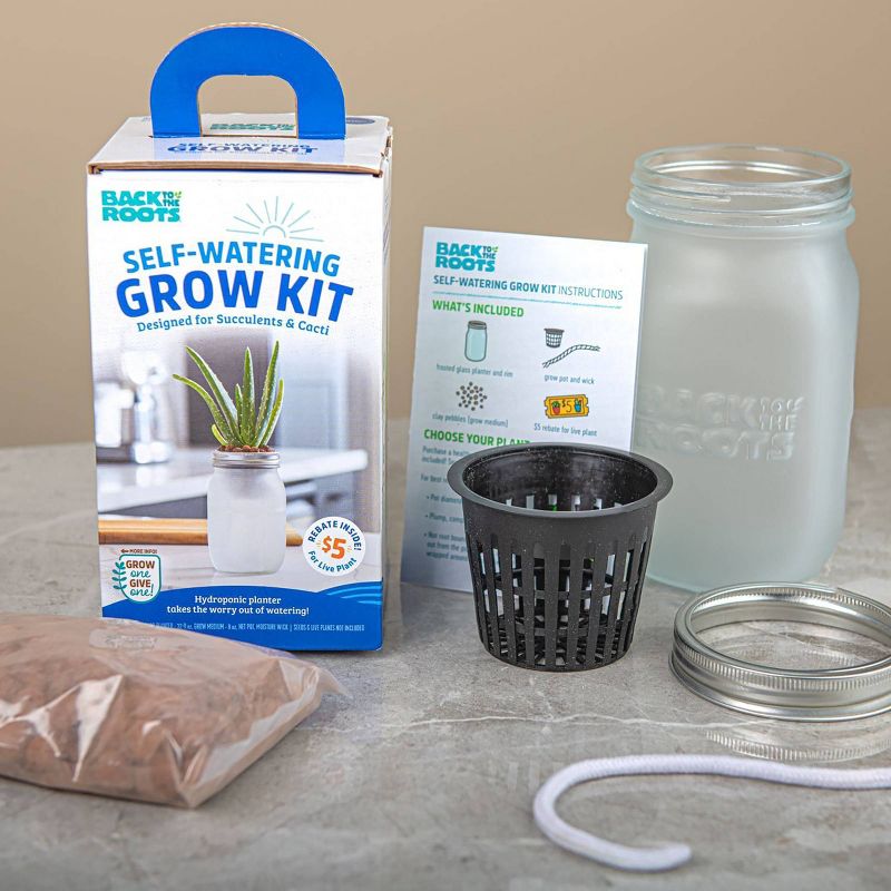 Back to the Roots Hydroponic Succulent & Cactus Grow Kit