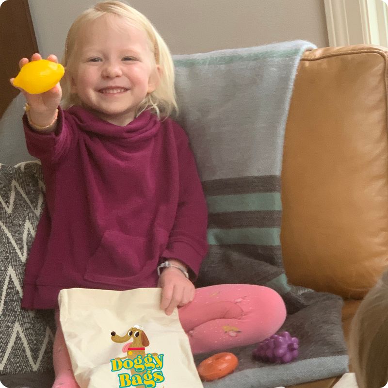 Roo Games Doggy Bags Be The First to Find Franky's Food - Ages 3+