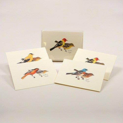 Peterson Western Bird Assortment Boxed Note Cards-- Set of 8