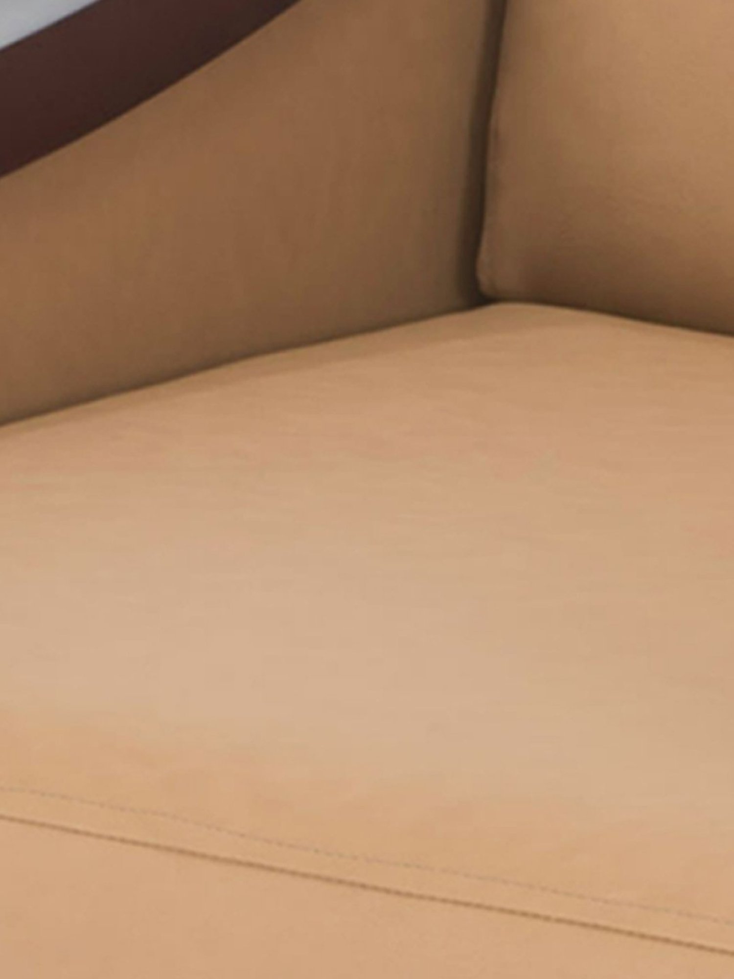 Durian Jesse Camel Brown Premium Leatherette 1 Seater Sofa