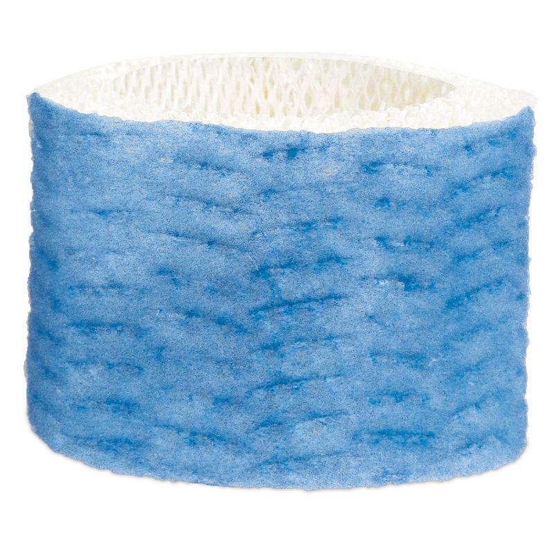 2pk Honeywell Replacement C Filter