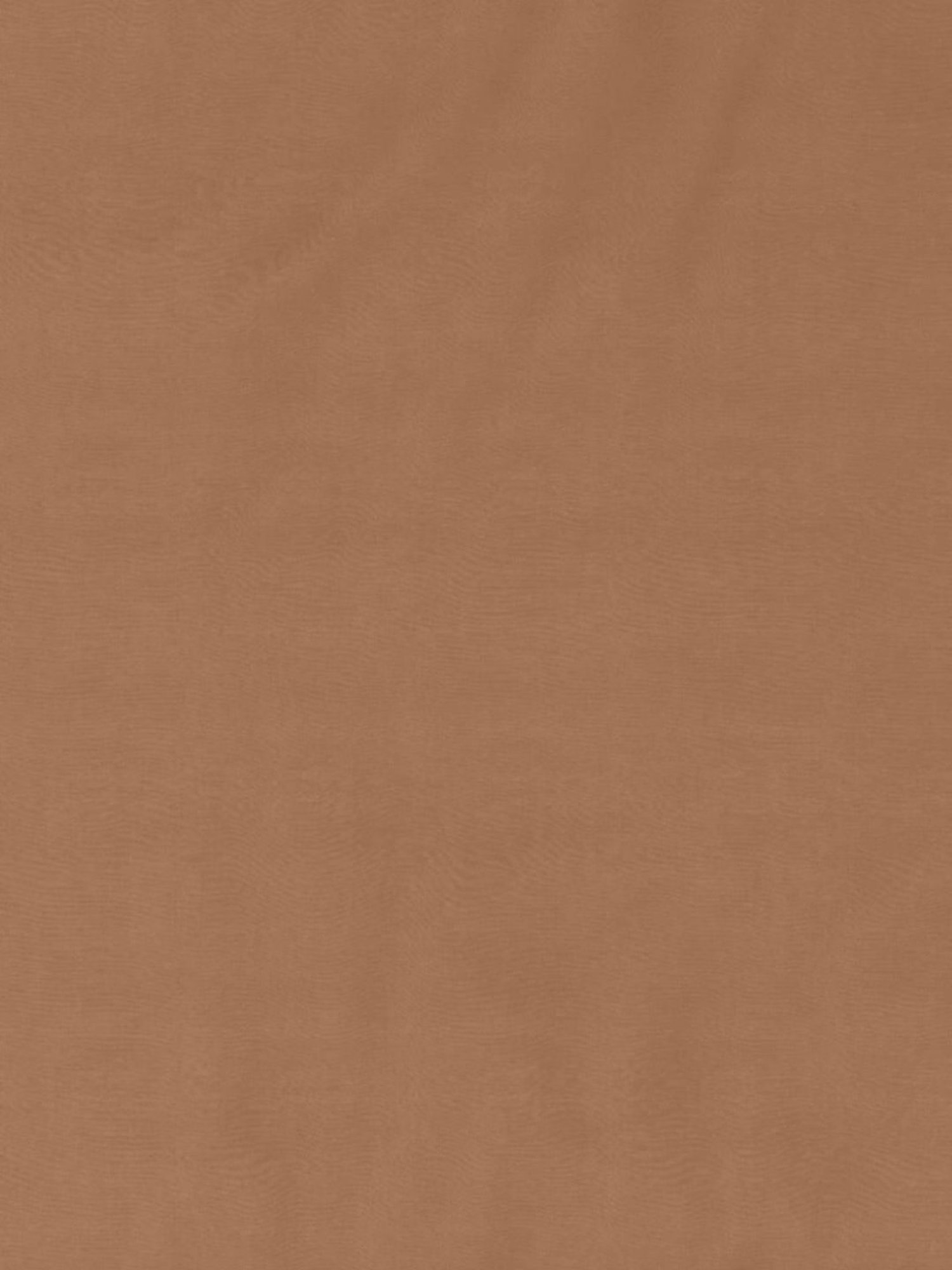 TARA Sparkling Homes Apricot Beige 300 TC Cotton King Bedsheet With 2 Pillow Covers