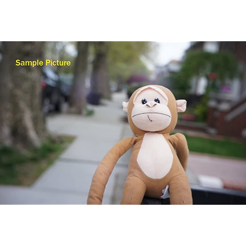 35mm f1.7 Lens for Sony E-Mount Camera, 35mm 1.7 Multi Coated Manual E-mount Lens fits Sony NEX-5R NEX6 NEX7 a3100 a5100 a6000 a6100 a63000 a6400 a6500 a6600