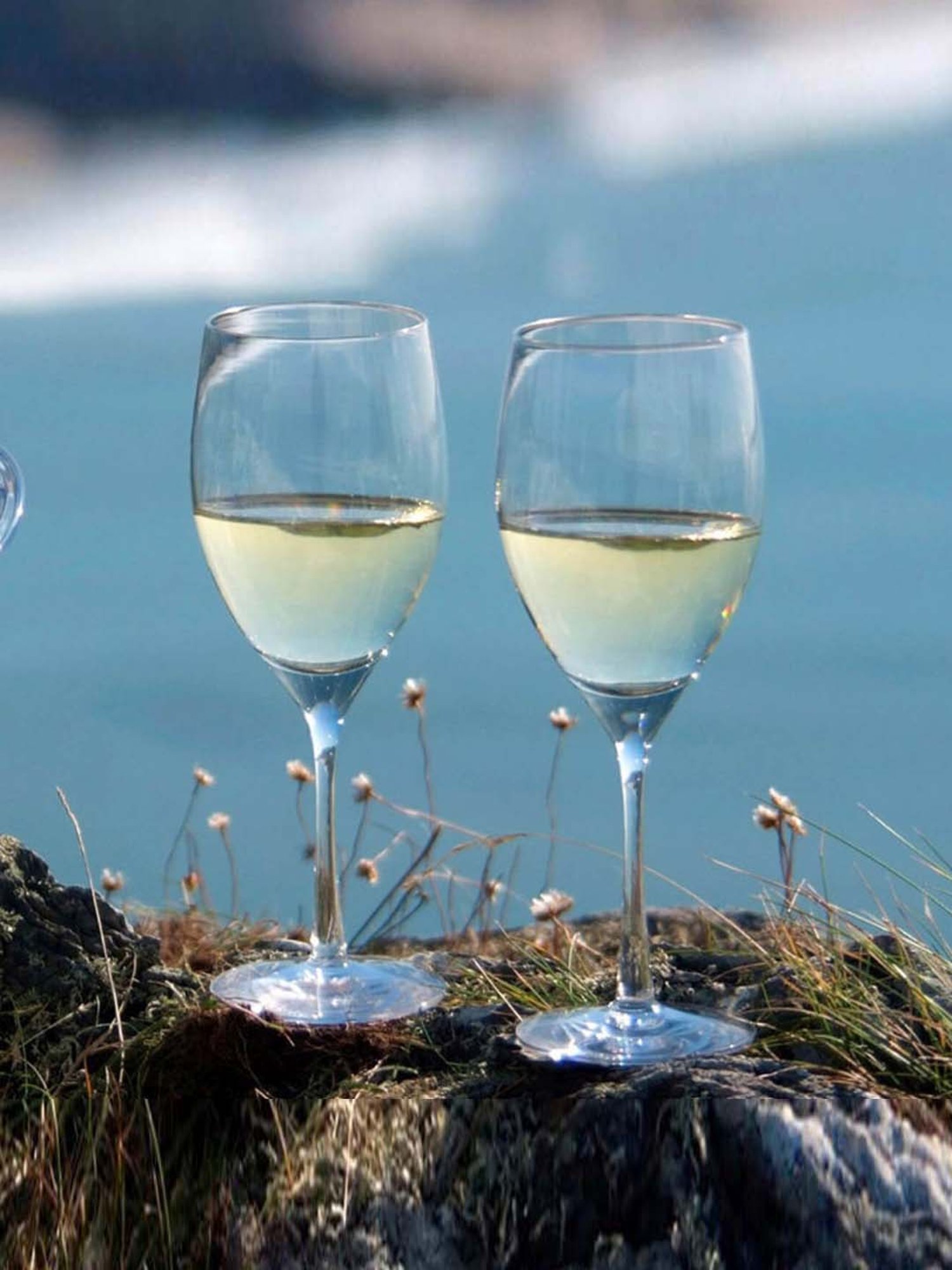 Dartington 'Master' Transparent Glass 18.4 cm Wine Glass - Set of 2