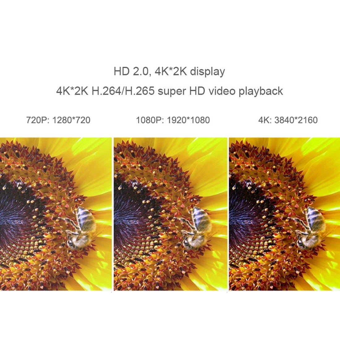 canary can100usbk allinone indoor 1080p hd security camera with builtin siren and climate monitor, motion / person / air quality alerts, works with alexa, insurance discount eligible  black