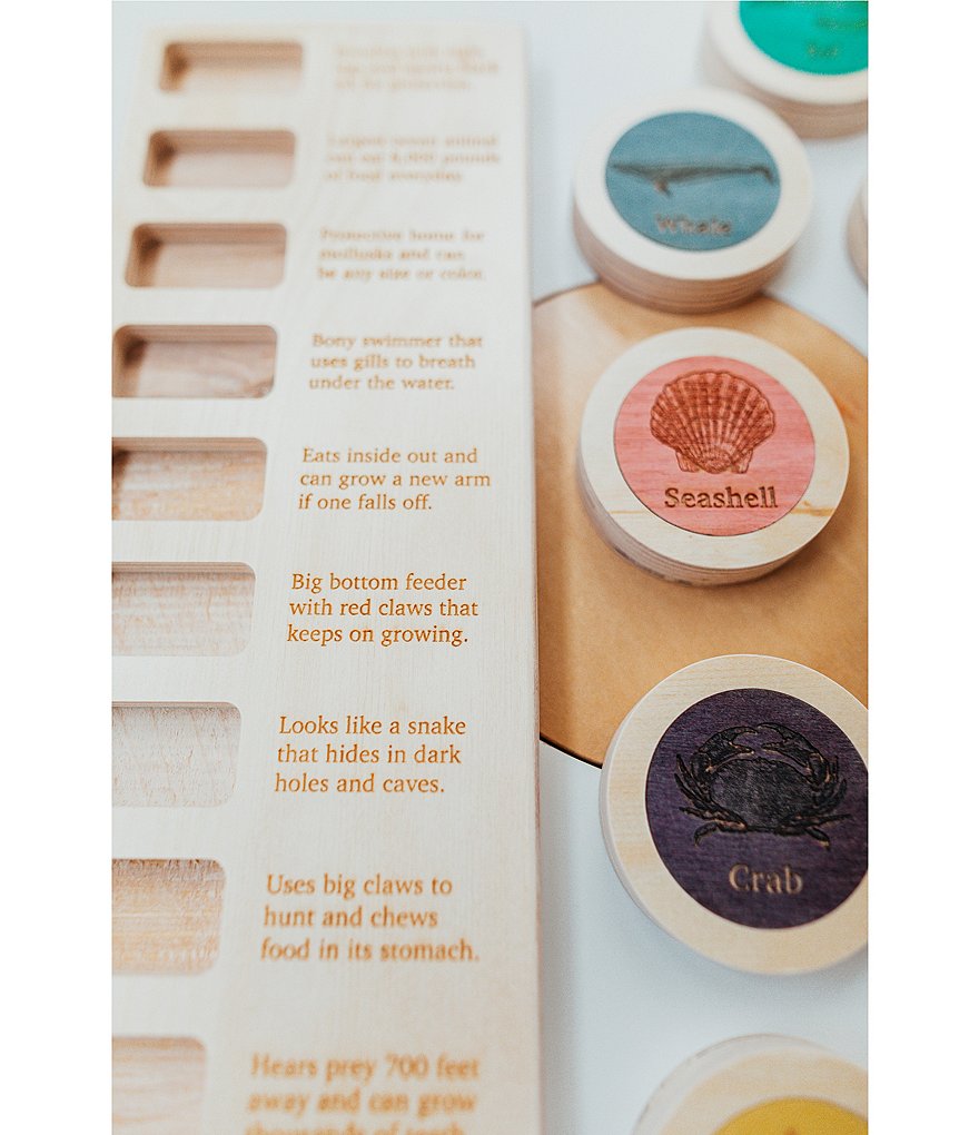 Lily & River Little World - Little Diver Facts & Memory Game