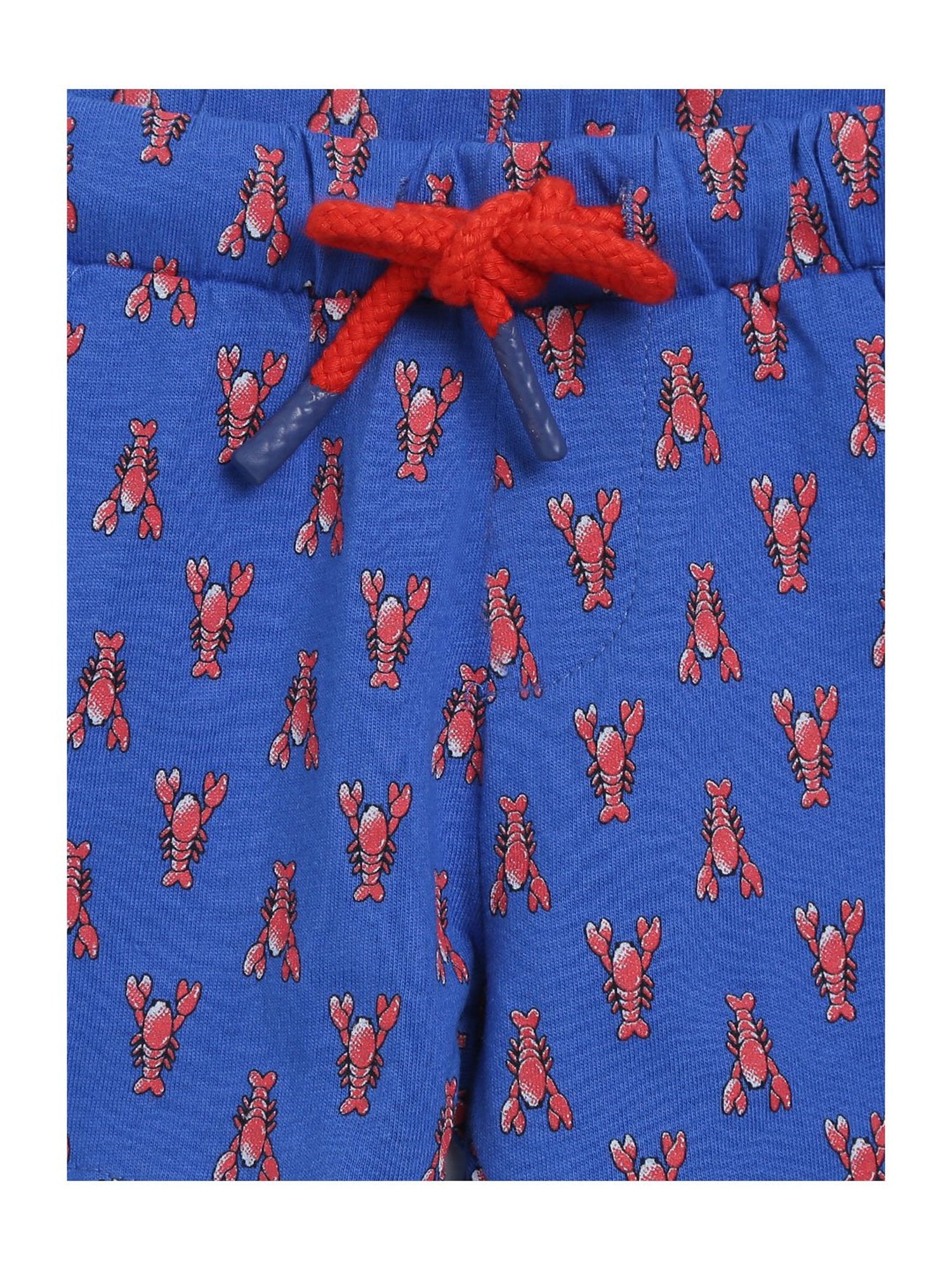 Chicco Kids White & Blue Printed T-Shirt with Shorts