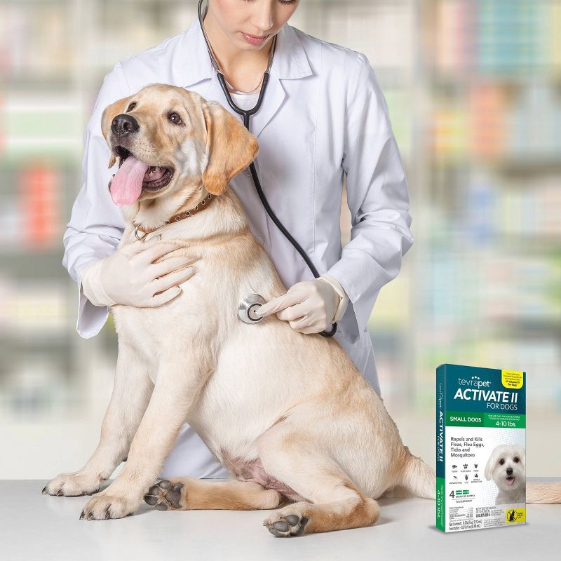 Tevra Pet Activate II Dog Insect Treatment - 4 Doses