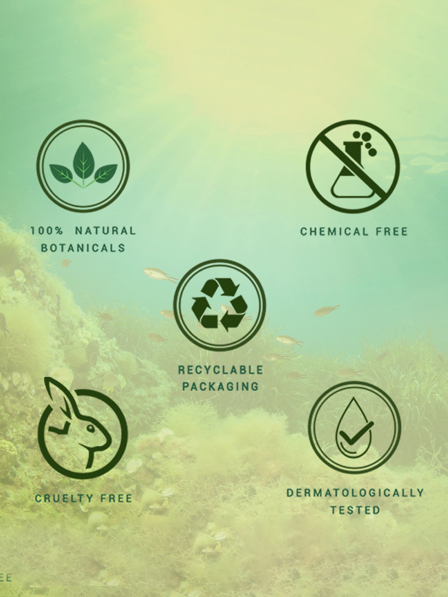 BIOTIQUE Seaweed Cooling Anti-Fatique Eye Gel - 15 gm