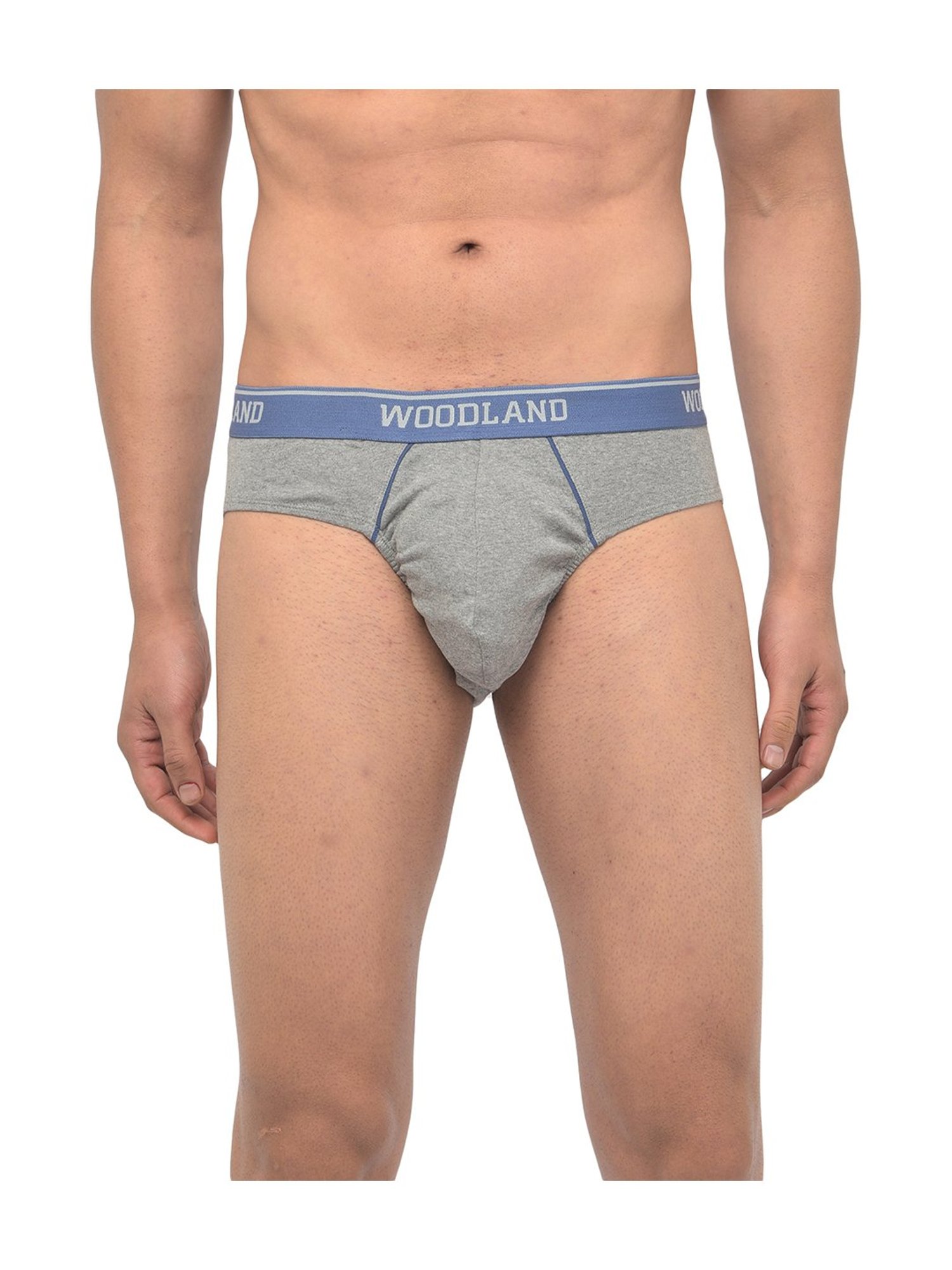 Woodland Light Grey Solid Briefs