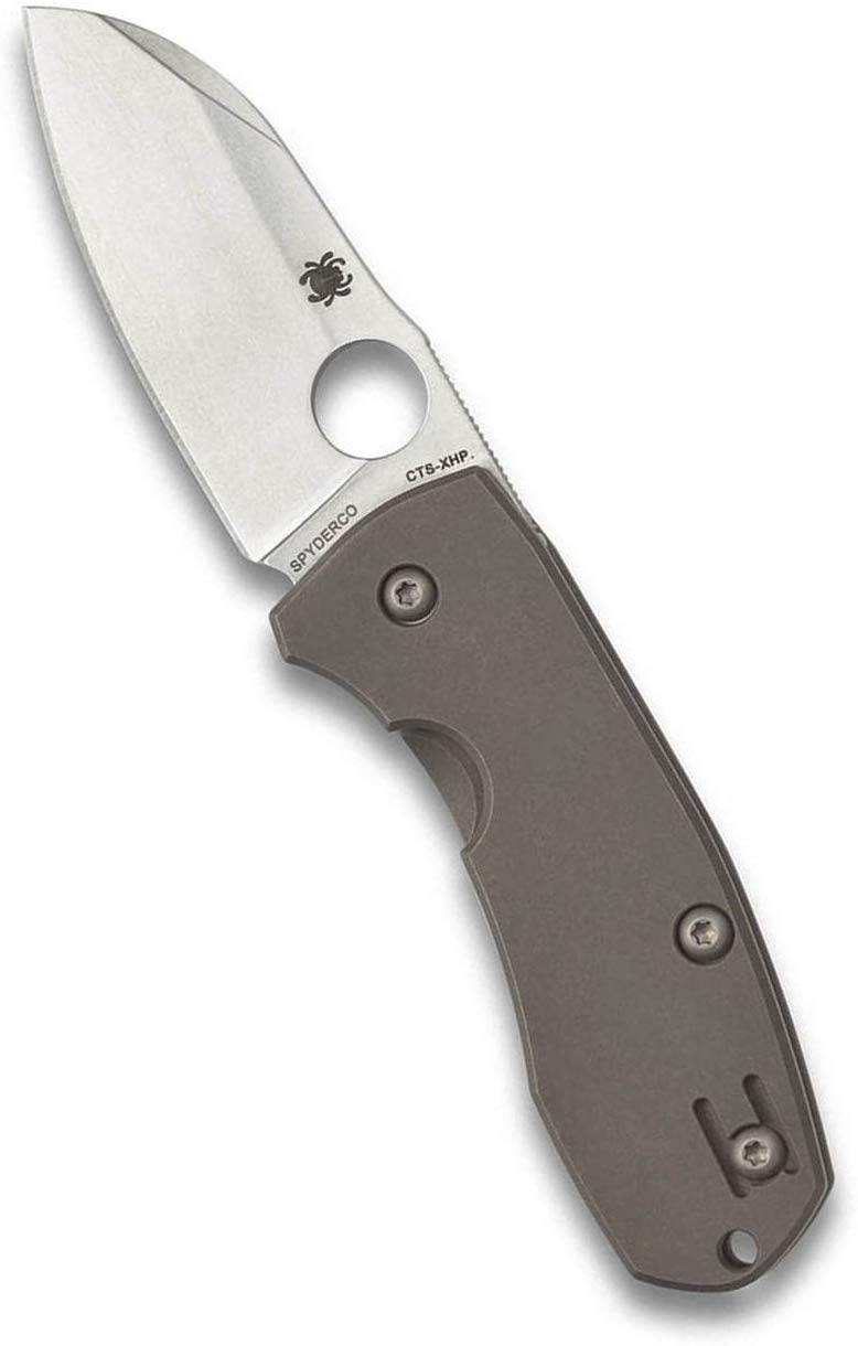 Spyderco Techno 2 Folder 2.55 in Plain Titanium Handle