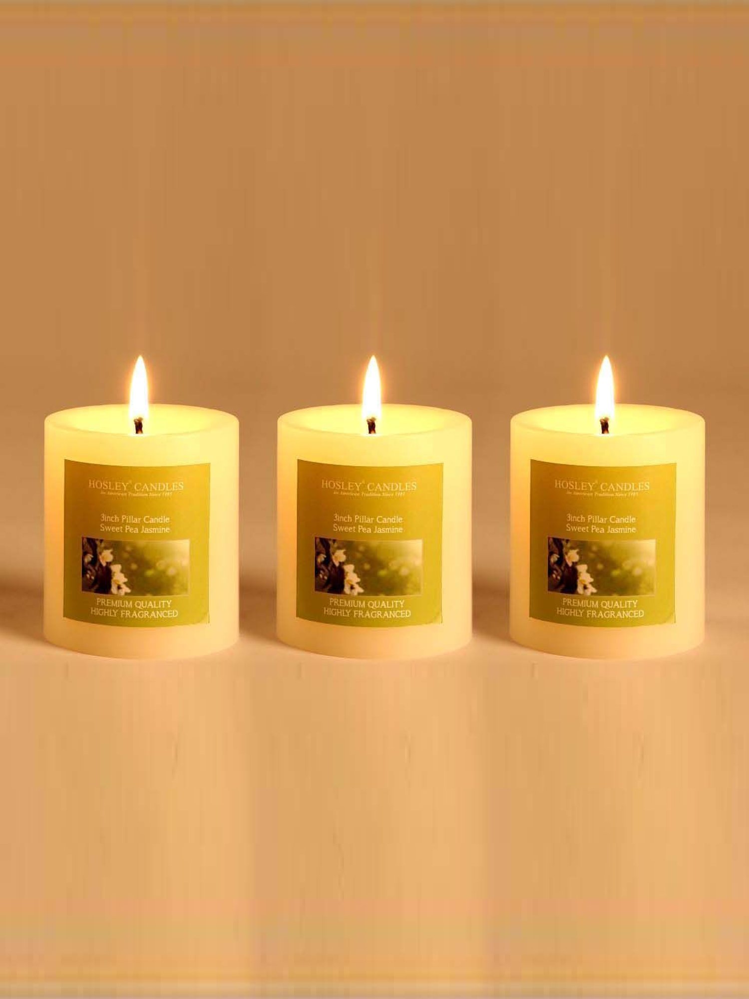 HOSLEY White Wax Pillar Candle - Set of 3