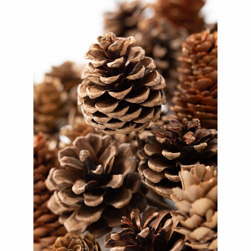 Sullivans Pinecone Mini Wreath 9"H Brown