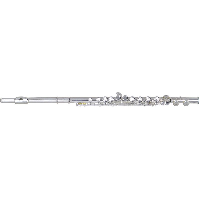 Allora AFL-250 Student Series Flute Offset G C-Foot