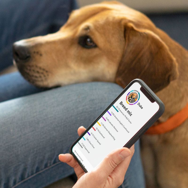 Embark Breed & Health Dog DNA Test