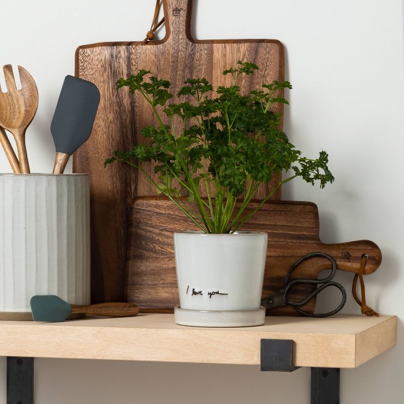 Seven20 Star Wars 11&rdquo; Silicone Spatula - Black/Gold Text &ldquo;Star Wars&rdquo;