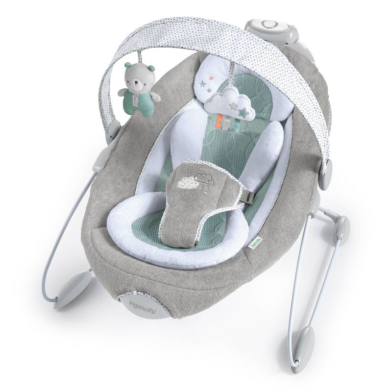 ​Fisher-Price Baby Bouncer