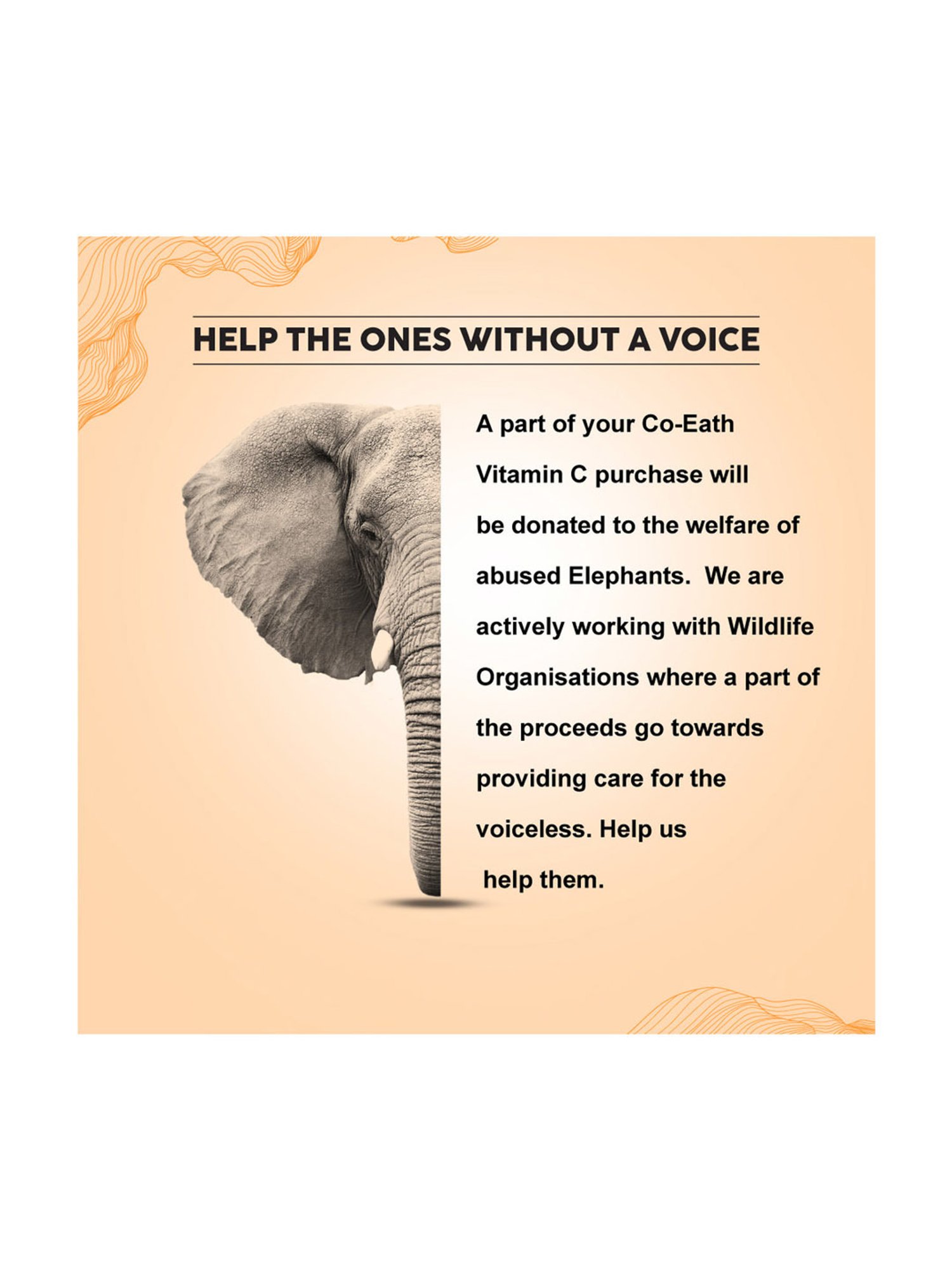 Colorbar Co-earth Vitamin C Night Cream - 50 gm